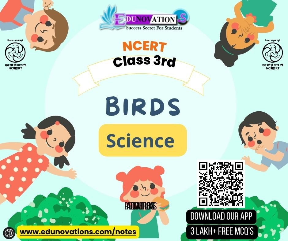 NCERT Class 3 Science MCQ Birds MCQs Multiple Choice Questions