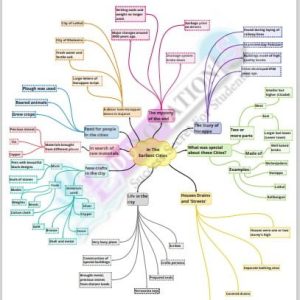 Class 6 Social Science In The Earliest City