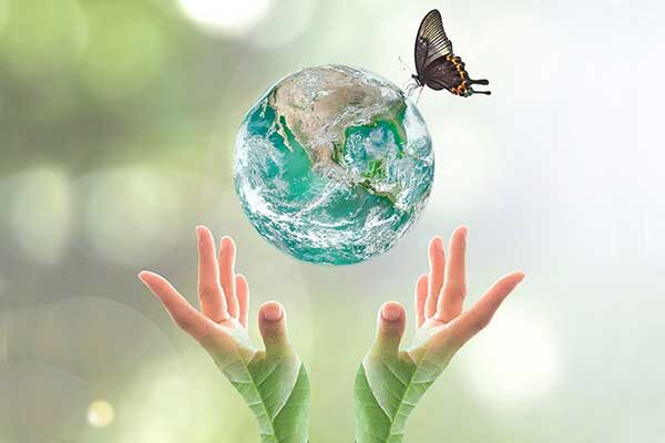 International Mother Earth Day