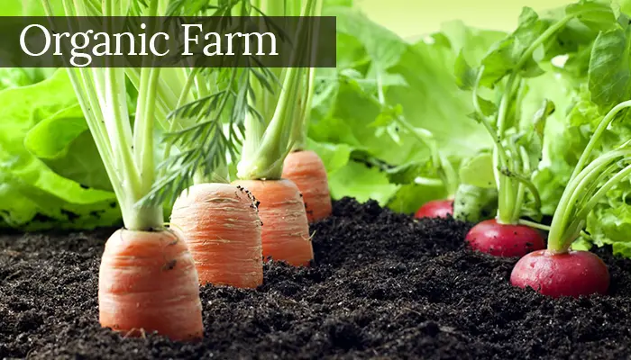 Organic Farming