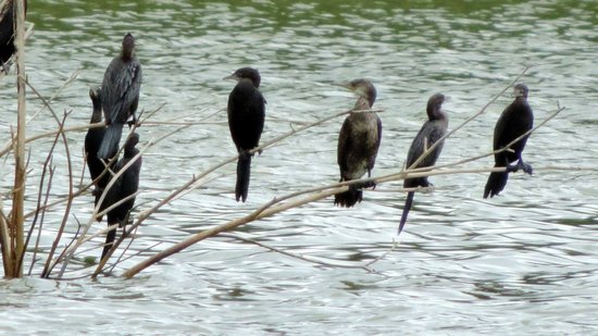 Tamil Nadu Wildlife Sanctuary