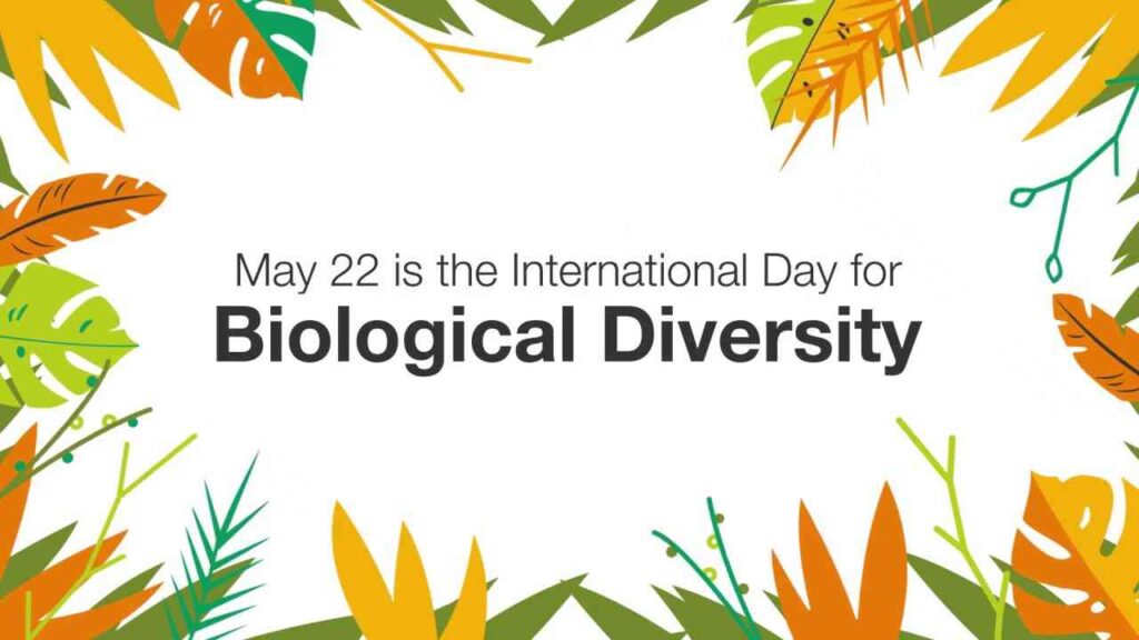 Importance of Biodiversity Conservation