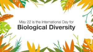 Importance of Biodiversity Conservation