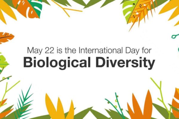 Importance of Biodiversity Conservation