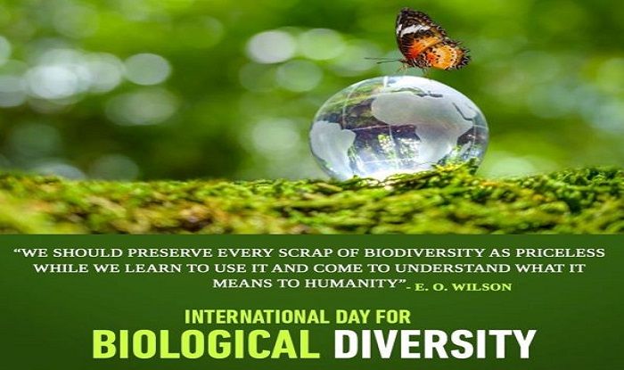 Importance of Biodiversity Conservation