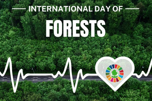 International Day of Forests