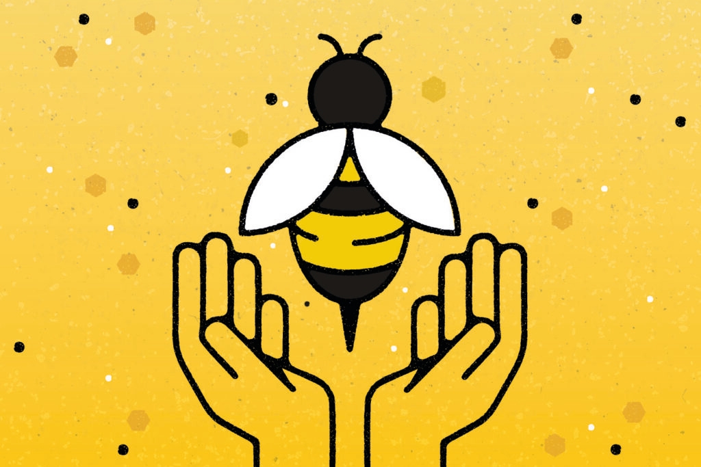 World Bee Day 2023