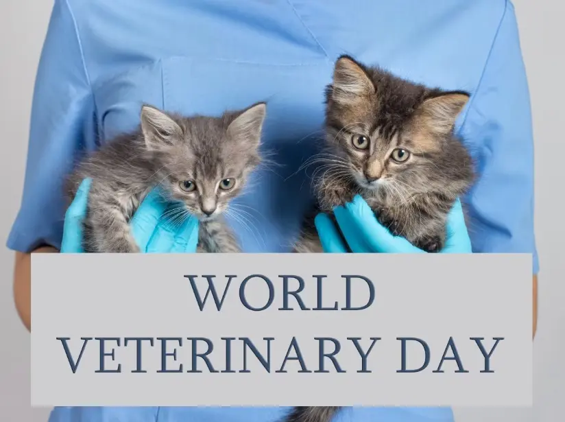 World Veterinary Day