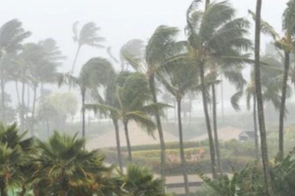 "Cyclone Biparjoy alerts"