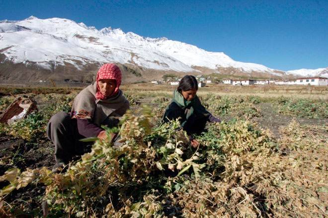 "Horticulture promotion Himachal Pradesh"
