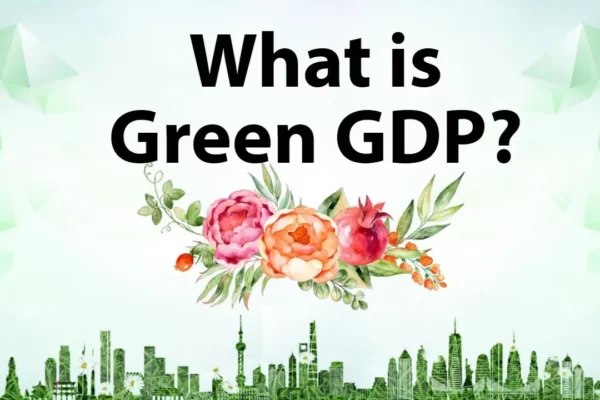 Understanding Green GDP