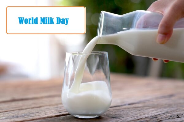 World Milk Day 2023