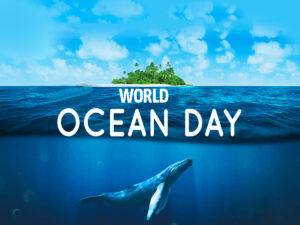 World Oceans Day 2023