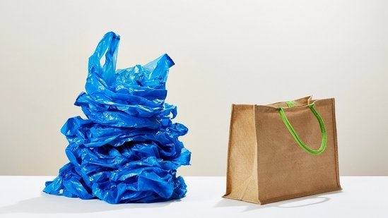 अंतर्राष्ट्रीय प्लास्टिक बैग मुक्त दिवस