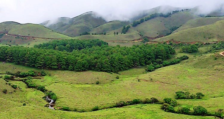 Mukurthi National Park Tamil Nadu