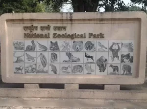 World Snake Day 2023