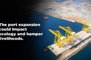"Adani Kattupalli Port expansion controversy"

