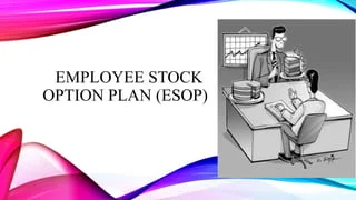 Employee Stock Option Plan
