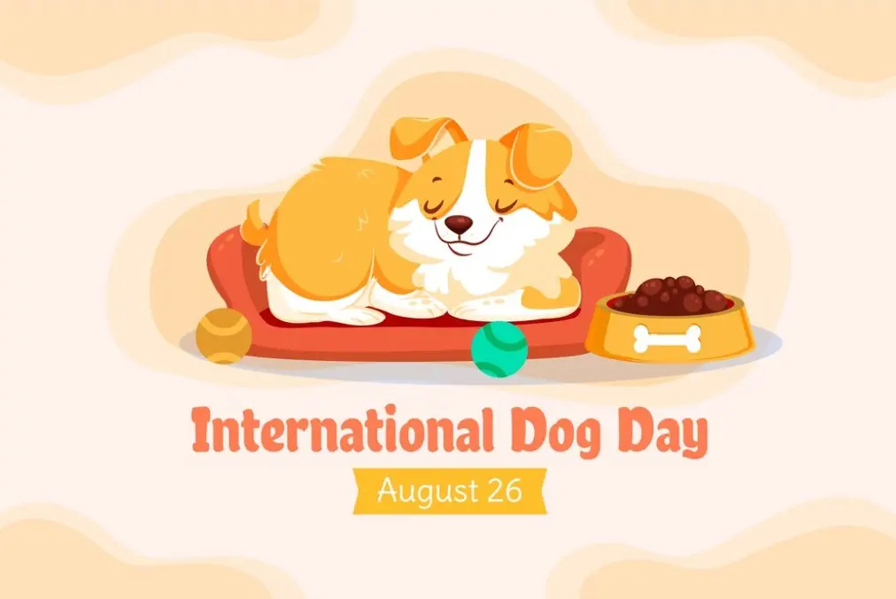 "International Dog Day importance"