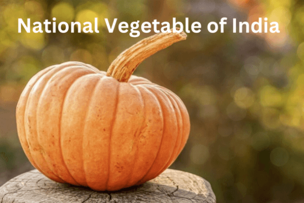 National Vegetable of India