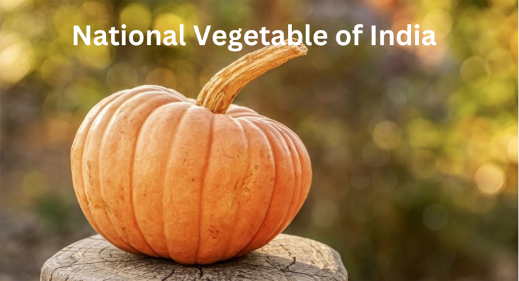 National Vegetable of India