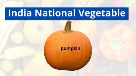 National Vegetable of India
