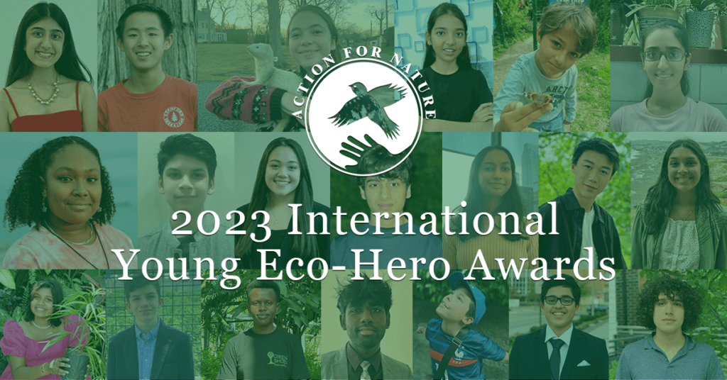 Young Eco-Hero Awards