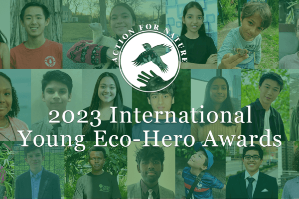 Young Eco-Hero Awards