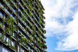 Green office spaces India
