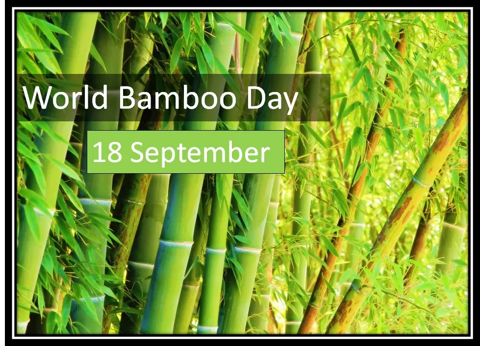 World Bamboo Day 2023 Significance, History, And Key Takeaways