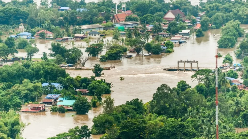 Climate change impacts