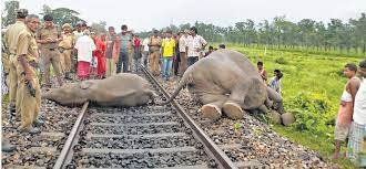 हाथी सुरक्षा प्रणाली