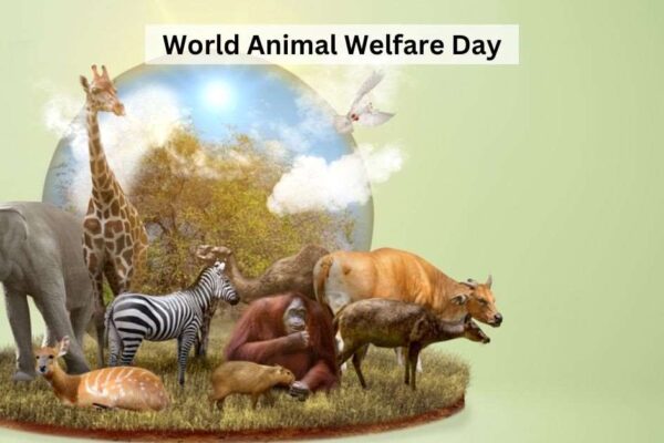 World Animal Welfare Day 2023