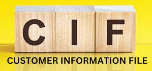 CIF full form importance