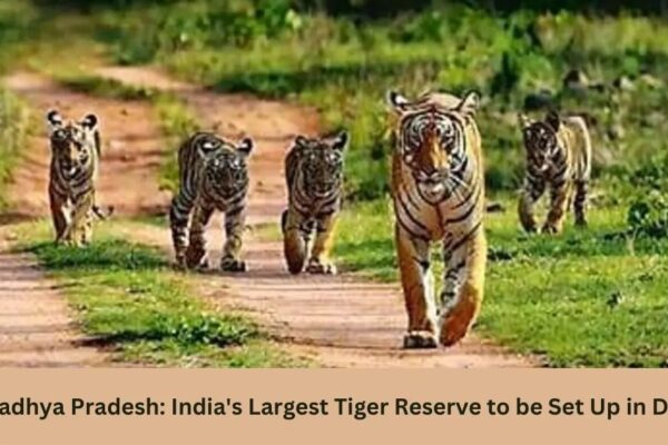 "Madhya Pradesh tiger reserve"