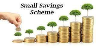 "Government small savings schemes"
