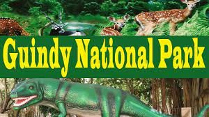 "Guindy National Park biodiversity"