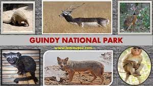 "Guindy National Park biodiversity"

