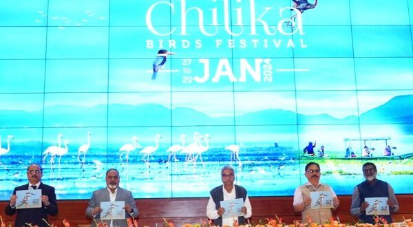 Chilika Birds Festival