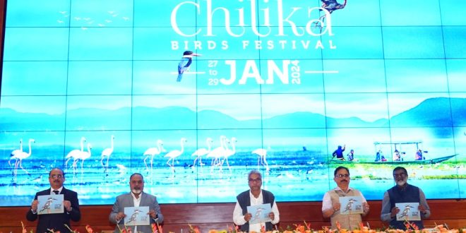 Chilika Birds Festival