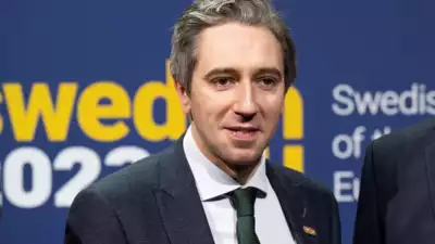 Simon Harris Prime Ministerial Candidacy
