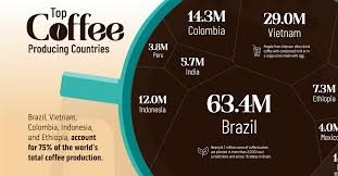 Global coffee production insights