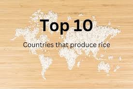 Rice production trends
