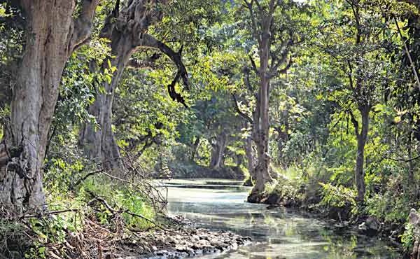 Telangana national parks list