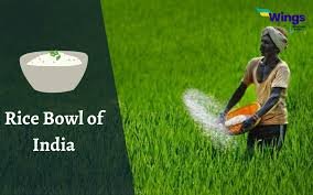 आंध्र प्रदेश तेलंगाना चावल उत्पादन