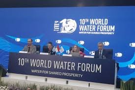 World Water Forum significance
