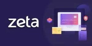 Zeta fintech credit access