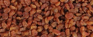 India raisin production