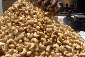 Ivory Coast cashew production