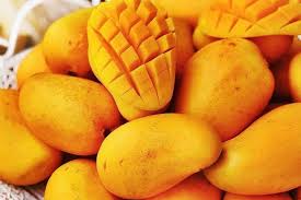 Mexico mango exports